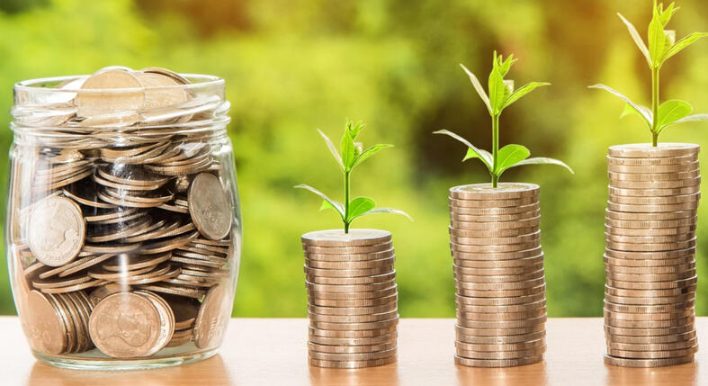 ELITE WEALTH PROTOCOL